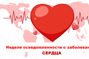 w0tolfuzcu7nx2fuliiofrp4j44o12hz