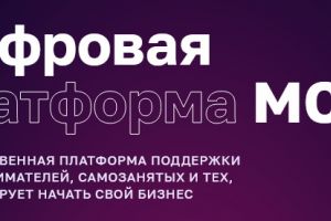 Цифрая платформа МСП
